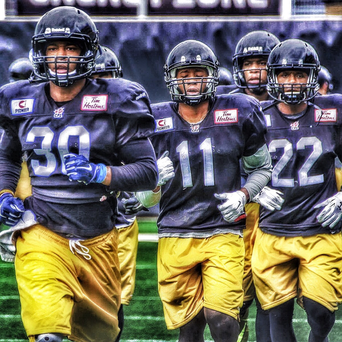 A lion doesn’t take selfies……