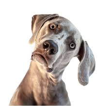 “Don’t be a sore loser…..??!!”