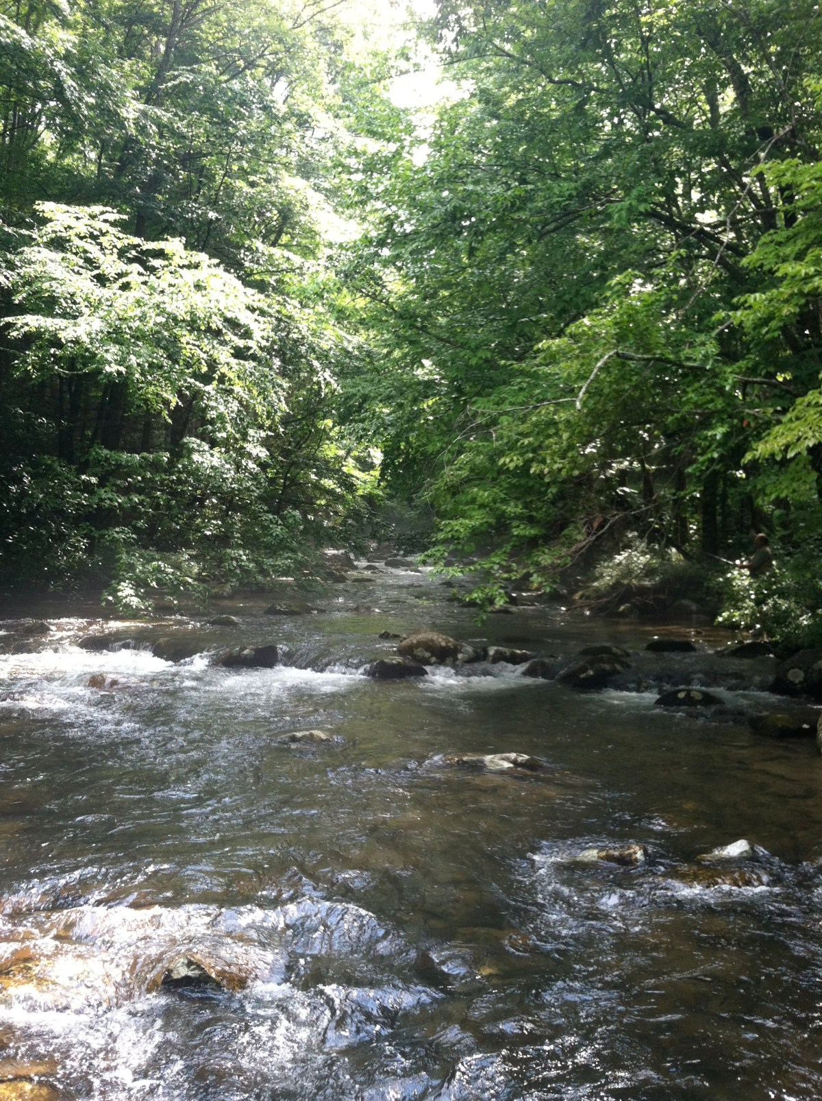 “Learn to read The&nbsp;Water!”