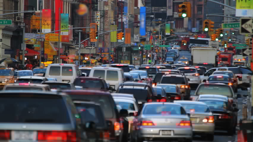 Life Moves Fast and Trees Don’t&nbsp;Move..